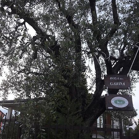 لاتيزي B&B Rosa Del Garda المظهر الخارجي الصورة